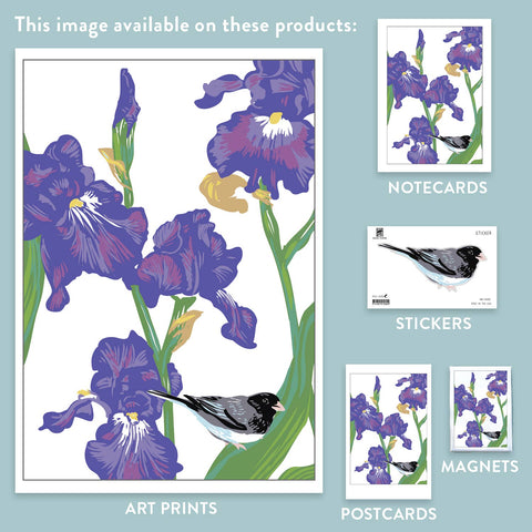 RBI-187 Iris and Junco