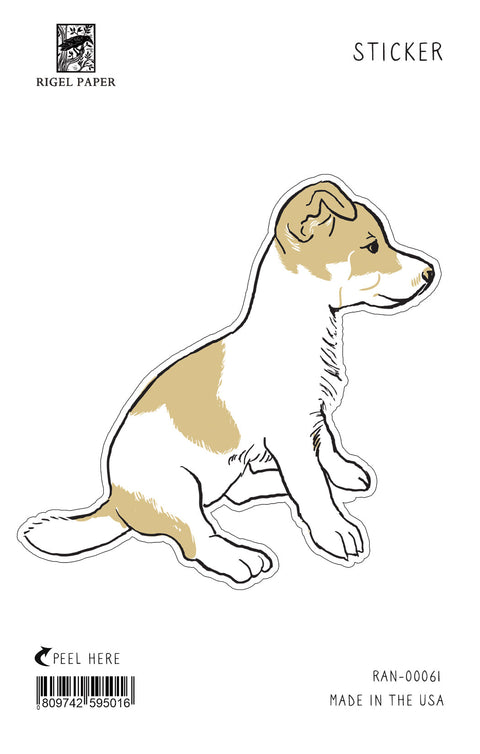 RAN-61 Jack Russell Puppy
