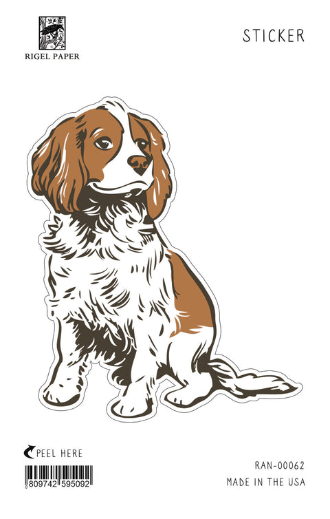 RAN-62 Cavalier King Charles Spaniel