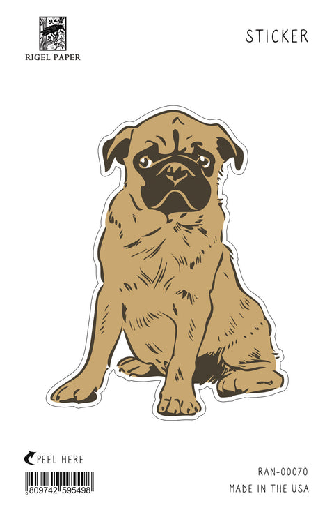 RAN-70 Pug Puppy