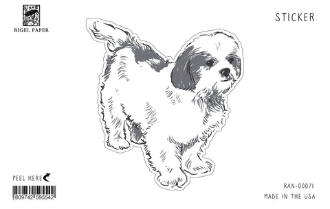 RAN-71 Shih Tzu