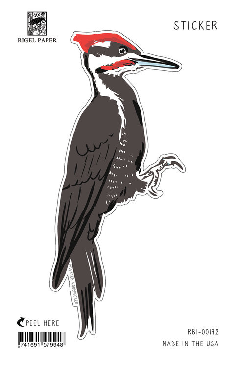 RBI-192 Pileated Woodpecker and Oak