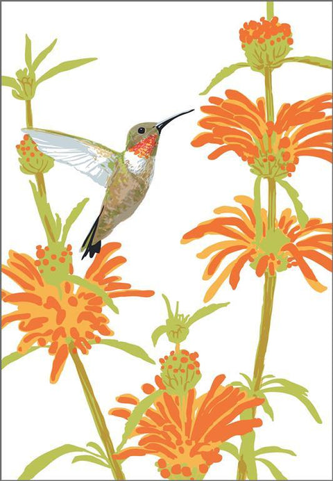 RBI-9138 Lion's Tail and Hummingbird