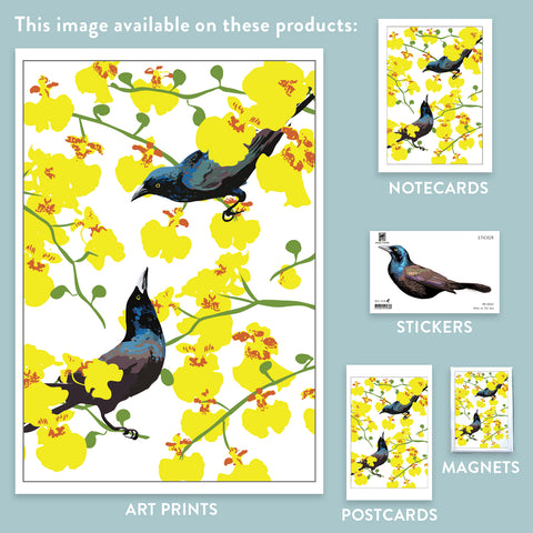 RBI-163 Grackles and Orchids