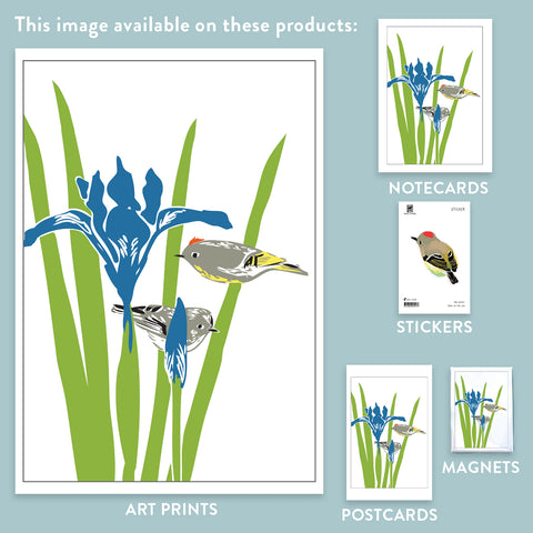 RBI-59 Kinglets & Iris
