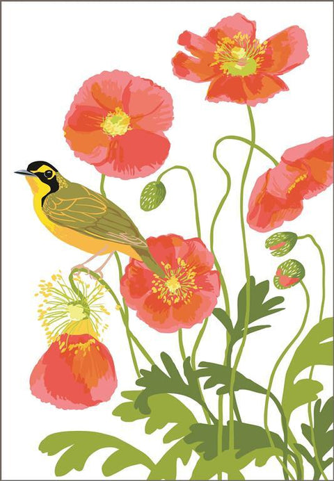 RBI-9157 Kentucky Warbler and Icelandic Poppies