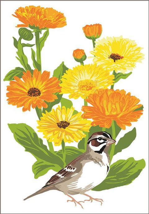 RBI-9158 Lark Sparrow and Calendulas