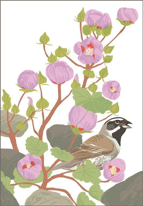 RBI-9159 Black-Throated Sparrow and Desert Fivespot