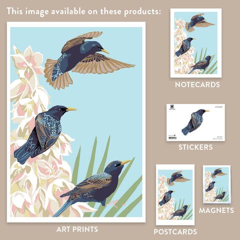 RBI-9160 European Starlings and Yucca