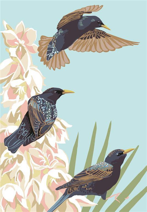 RBI-9160 European Starlings and Yucca