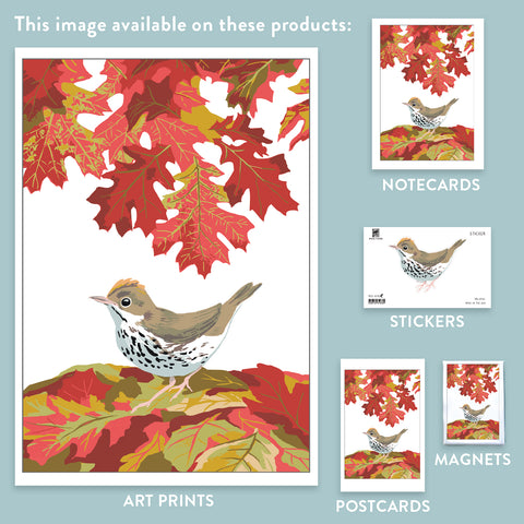 RBI-9161 Ovenbird and Autumn Leaves