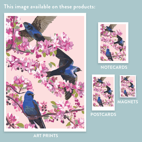 RBI-9164 Purple Martins and Cherry Blossoms
