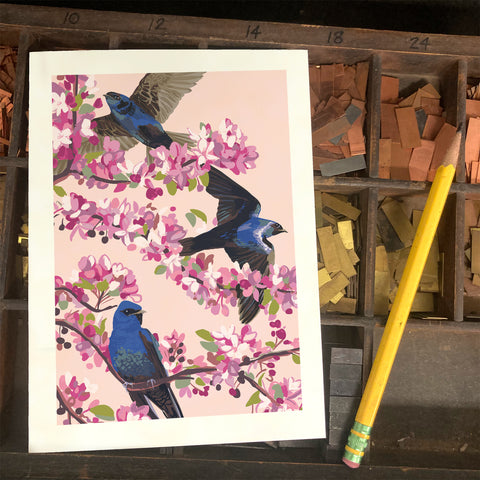 RBI-9164 Purple Martins and Cherry Blossoms