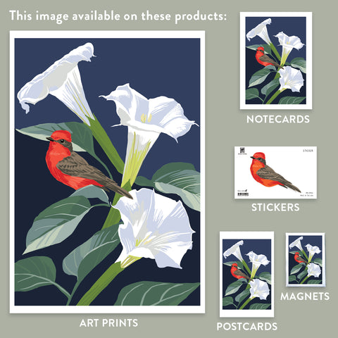RBI-9165 Vermilion Flycatcher and Datura