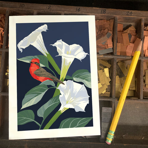RBI-9165 Vermilion Flycatcher and Datura