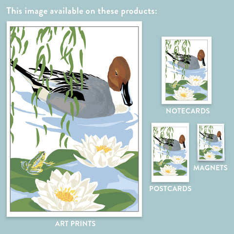 RBI-9167 Pintail, Frog, and Water Lilies