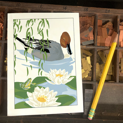 RBI-9167 Pintail, Frog, and Water Lilies