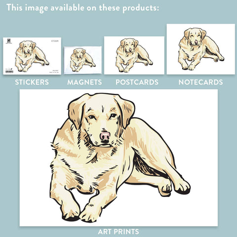 RAN-64 Labrador Retriever, Golden
