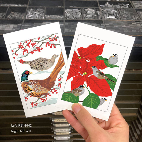 RBI-211 White-Crowned Sparrows & Poinsettias