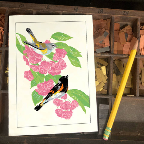 RBI-186 American Redstart and Cherry