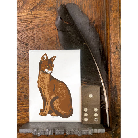 RAN-29 Abyssinian Cat