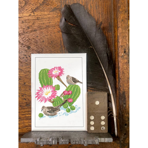 RBI-190 Inca Dove and Cactus