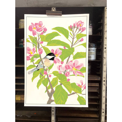 RBI-207 Chickadee Apple Blossoms