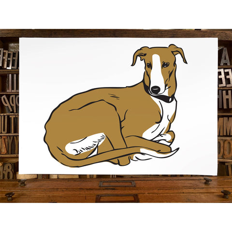 RAN-60 Greyhound