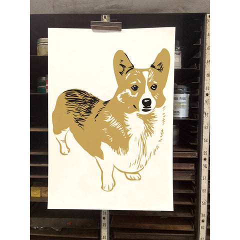 RAN-72 Welsh Corgi