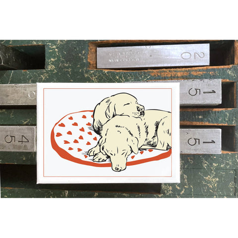 RLO-47 Sleeping Labs