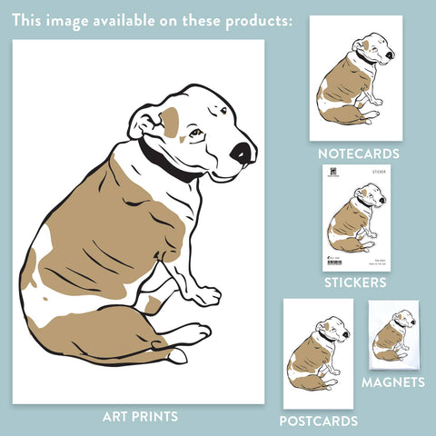 RAN-67 Pitbull, sitting