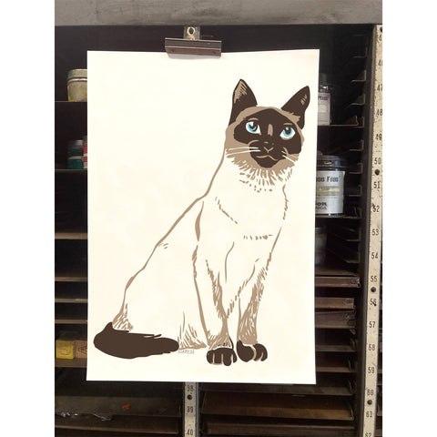 RAN-37 Siamese Cat