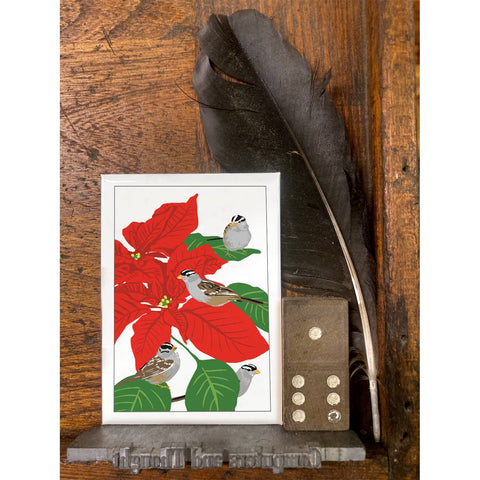 RBI-211 White-Crowned Sparrows & Poinsettias