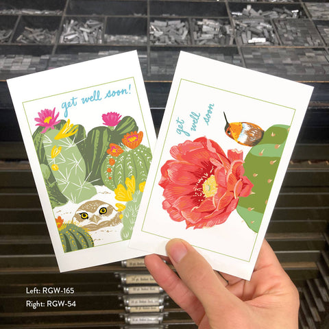 RGW-54 Hummingbird & Cactus - Get Well Soon