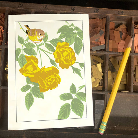 RBI-105 Vireo & Yellow Roses