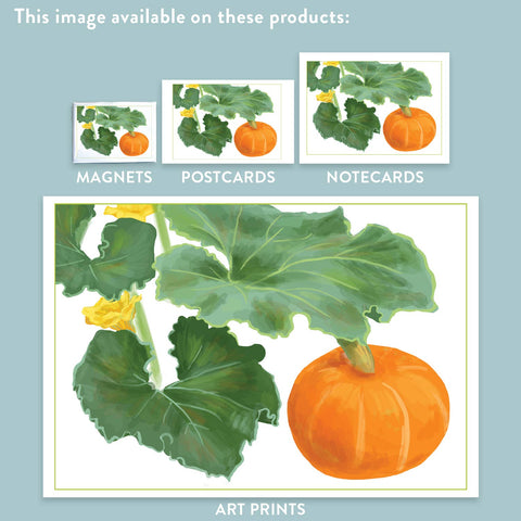 RFM-179 Kabocha Squash