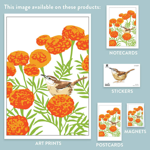 RBI-143 Carolina Wren & Marigolds