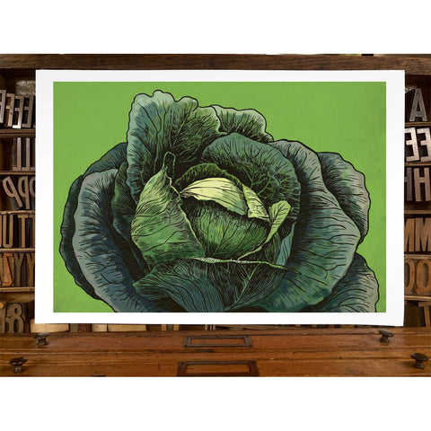 RFM-406 Cabbage