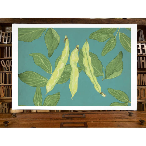 RFM-412 Fava Beans