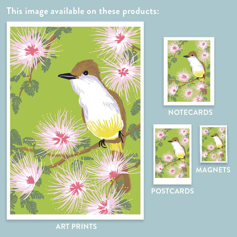 RBI-9144 Brown-Crested Flycatcher and Fairy Duster