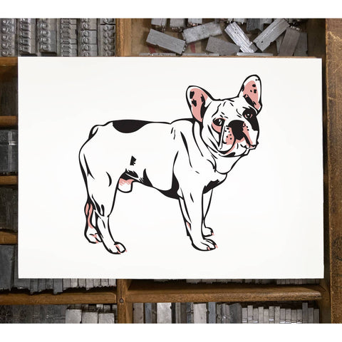 RAN-34 French Bulldog