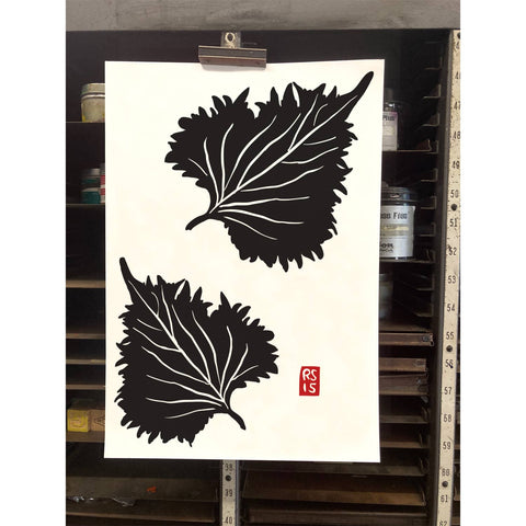 RFM-529 Shiso Leaves