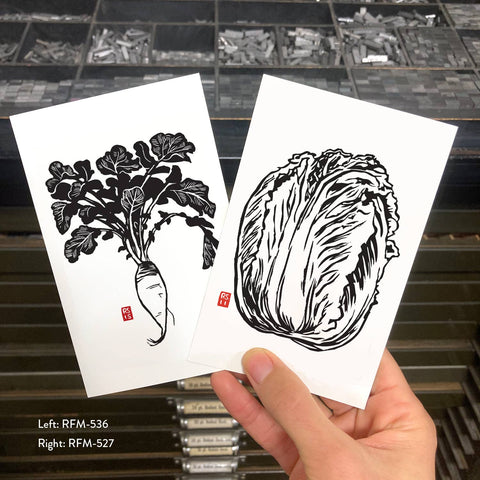 RFM-536 Long Daikon