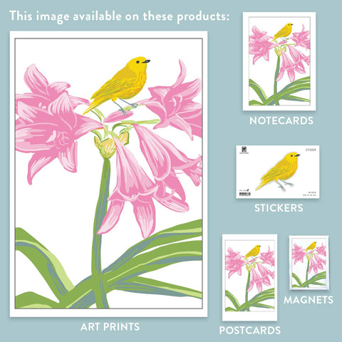 RBI-238 Yellow Warbler and Amaryllis