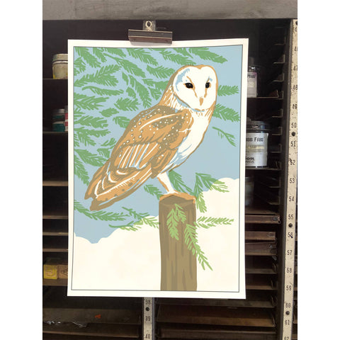 RBI-102 Barn Owl in Redwood