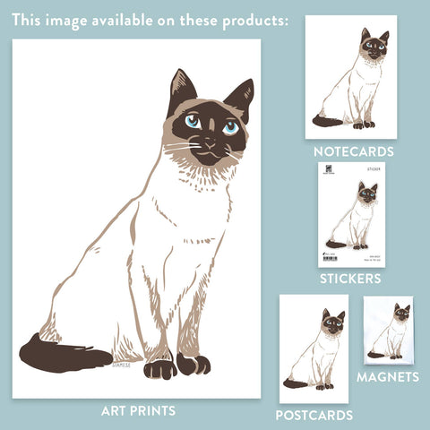 RAN-37 Siamese Cat
