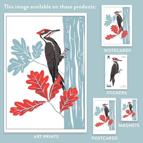 RBI-192 Pileated Woodpecker and Oak