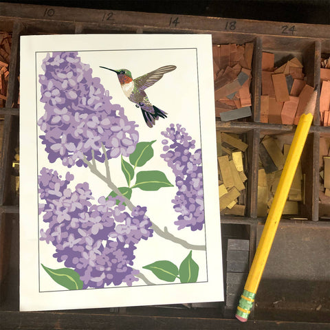 RBI-235 Hummingbird and Lilac