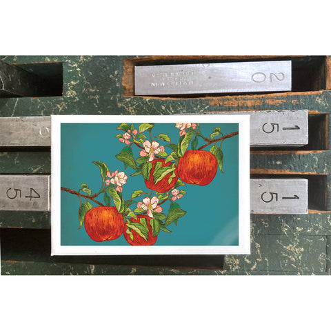 RFM-401 Apples