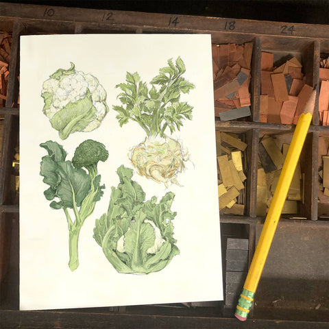 RFM-505 Winter Vegetables